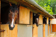 free Holmwood Corner stable construction quotes